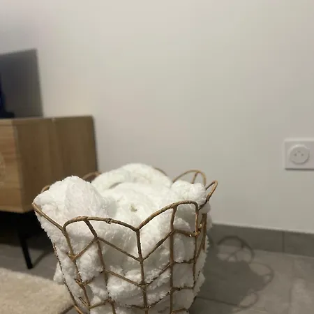 Moderne Et Spacieux Avec Terrasse Privee 2 *