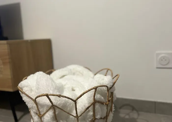 Moderne Et Spacieux Avec Terrasse Privee 2 *